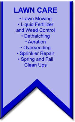 Cheyenne Lawn Care Blue Ribbon Landscape Insta Green Your Lawn Will Look Better Than It Ever Has Blue Ribbon S Experts Give You A That Neighbors Envy